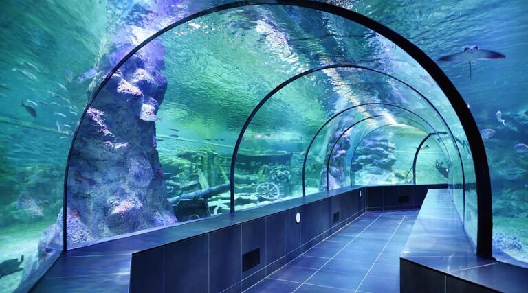 the-longest-aquarium